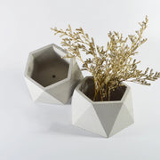 Big Size Hexagon Shape Flowerpot