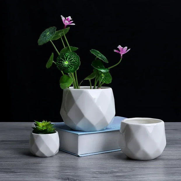 Creative Ceramic Diamond Geometric Flowerpot
