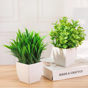 Green Artificial Bonsai Mini Eucalyptus Flower Potted Plant
